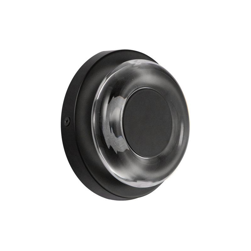 Stephord 1 - Light LED Flush Mounted Sconce, Clear, Clear Glass, Black