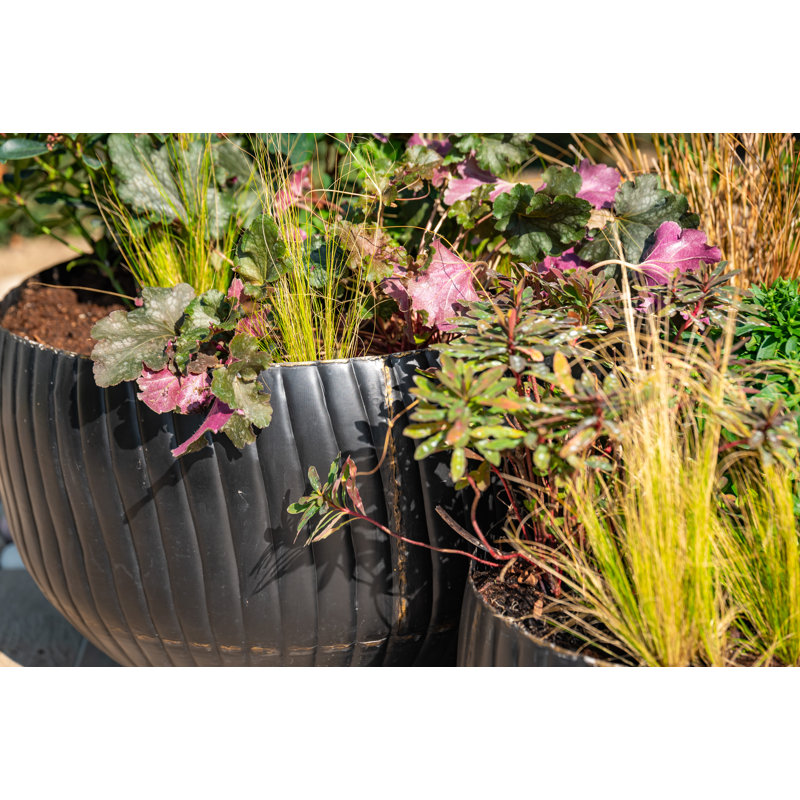Rydell Metal Pot Planter, 26cm H x 29.5cm W x 29.5cm D