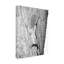 Art sur toile «ologic »-104142635