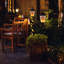2.5 Watt White LED Bulb