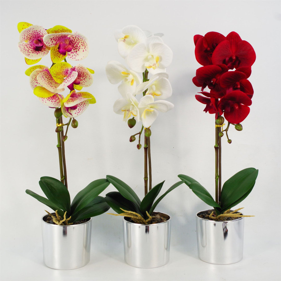 B&Q -  46Cm Artificial Orchid White With Silver Pot - Image 6