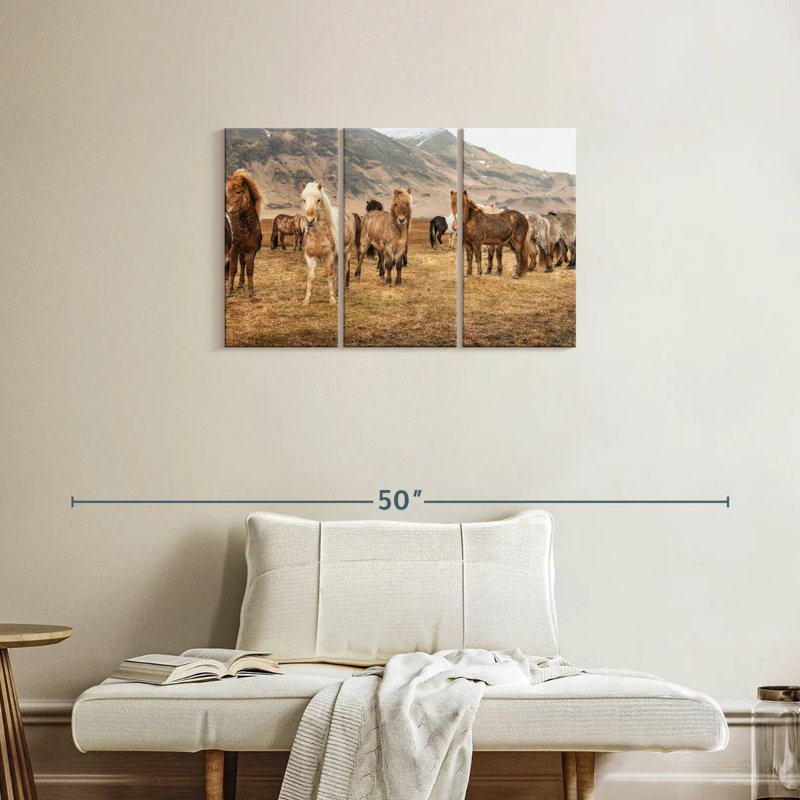 Brampt, chevaux islandais dans la campagne, H 20 po x l 33 po