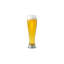 16 oz. Pilsner Glass