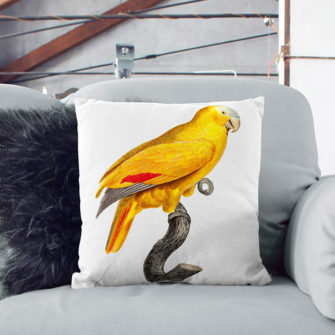 Golden Parrot by F. Levaillant Cushion with Filling