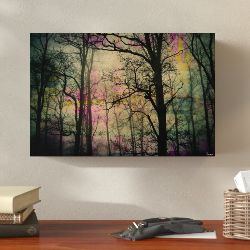 Parvez Taj - Wrapped Canvas Print, 51cm H x 76cm W x 4cm D