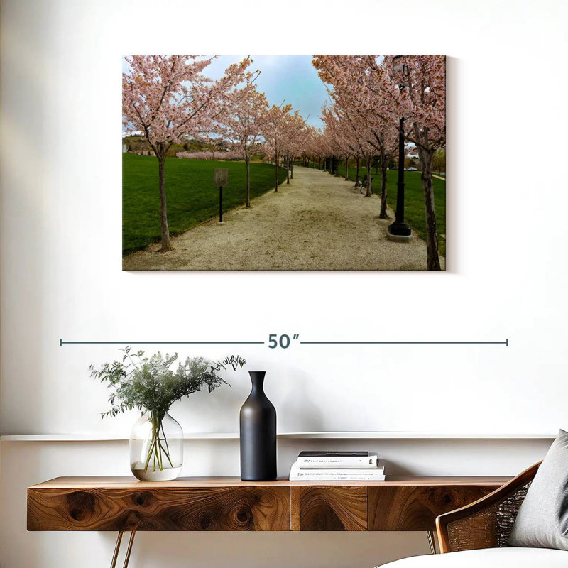 Sentier Harnek Cherry Blossoms