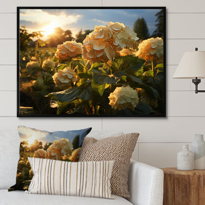 Yellow Hydrangea Field