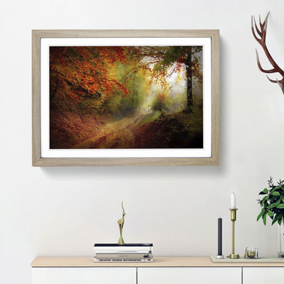Autumn Forest - Framed Print