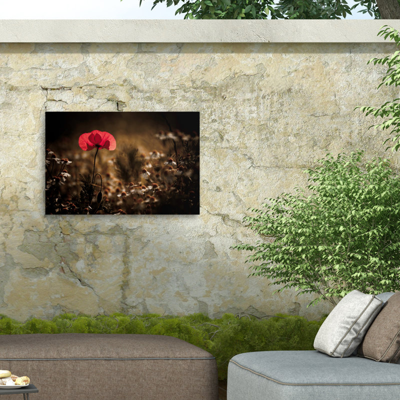 Impression sur toile par Fabien BRAVIN, H 22 po x l 32 po
