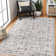 Non Slip Area Rug Low Pile Bedroom Rugs Machine Washable Floor Mat Living Room Carpet - NT0201