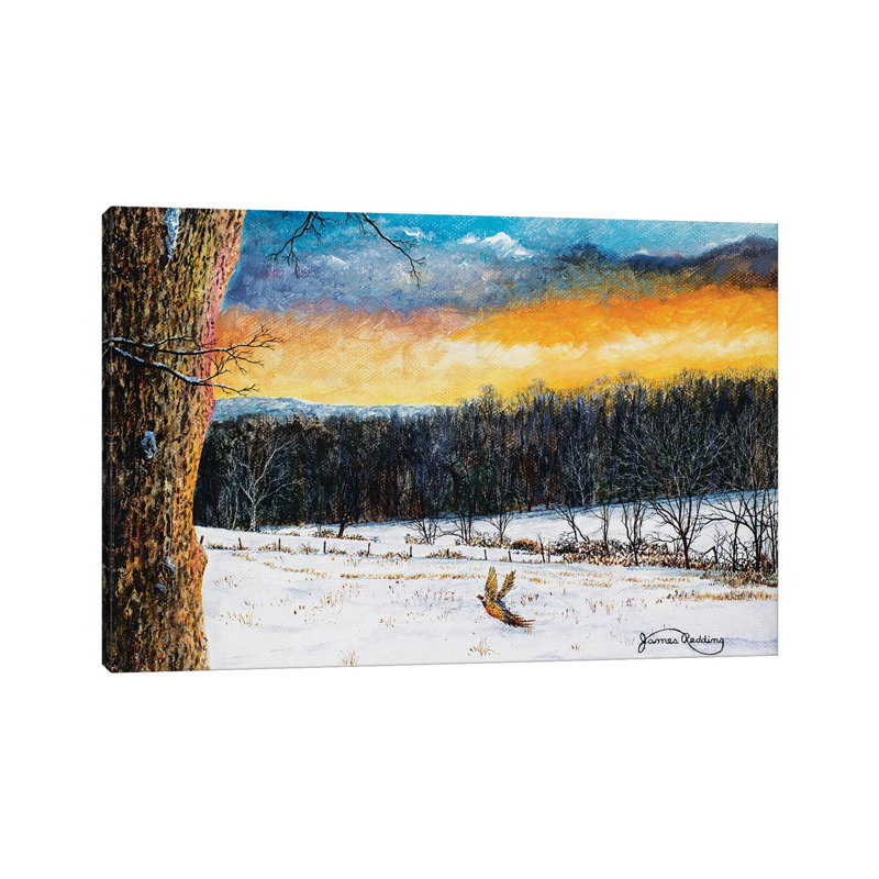 «Fiery Sky» par James Redding - peinture sur toile tendue, H 26 po x l 40 po x 1,5 po