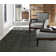 Alidus Area Rug in Gray