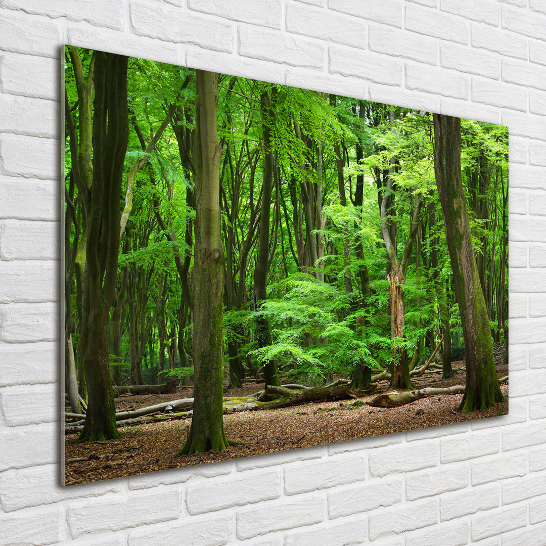 Glasbild Dutch Forest