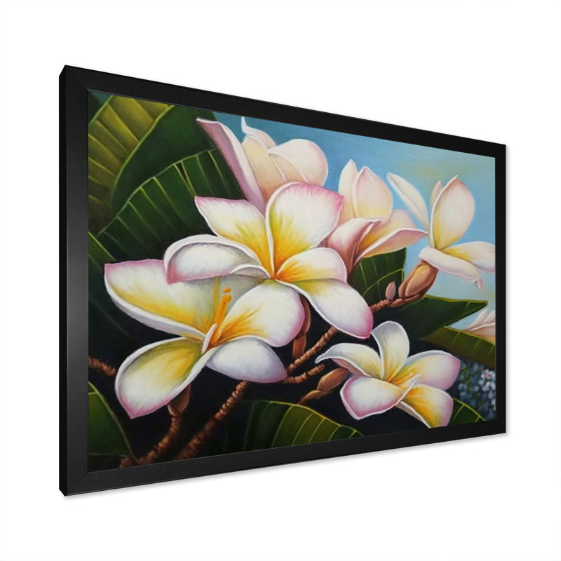 «White and Yellow Blossoming Plumeria I», reproduction sur toile, H 12 po x l 20 po x P 1 po