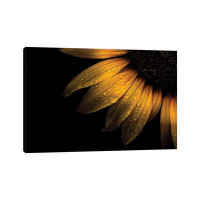 " Sunflower Detail II " by Brian Carson