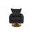 Lin noir est en rupture de stock