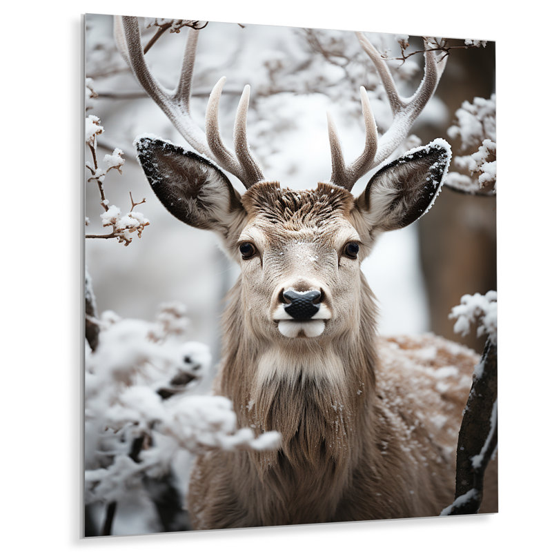 Art animalier, chevreuil, H 32 po x l 16 po
