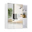 Armoire à pharmacie avec miroir et 5 tablettes fixes l 21,7 po x H 22 po Lehti-1291692521
