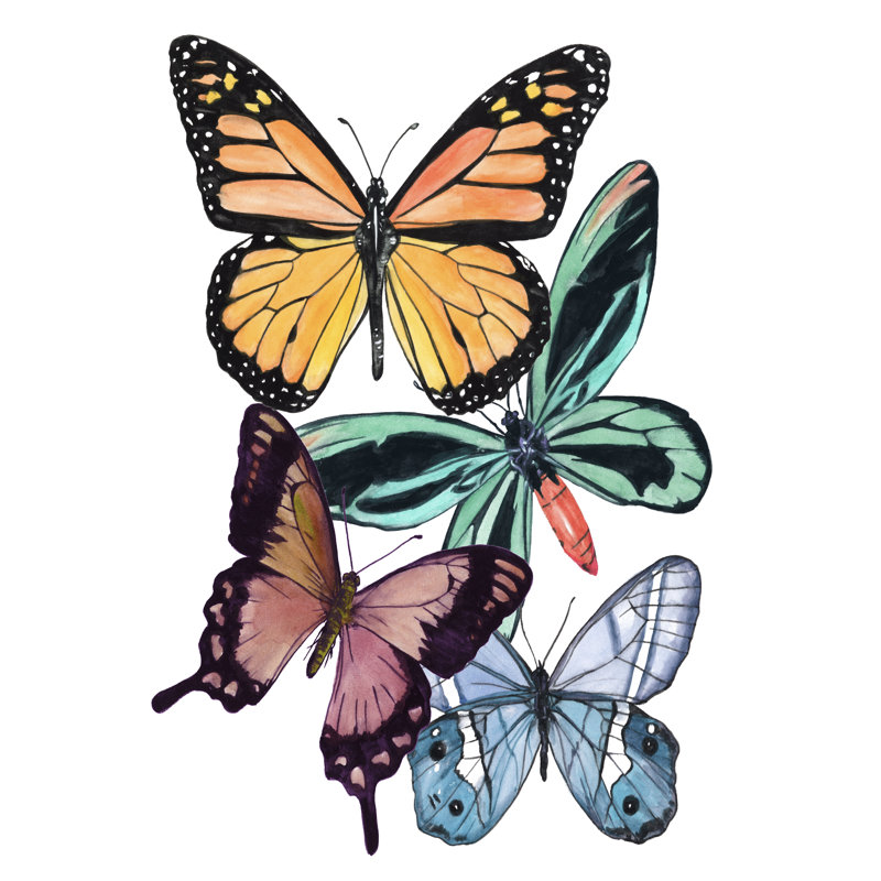 Échantillons de papillons I, H 12 po x l 8 po x P 1,25 po