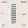 Raygoza Two-Tone Striped Classic Low-Pile Machine-Washable Cream/Dark Gray Rug