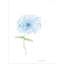 Scribble Flower Print