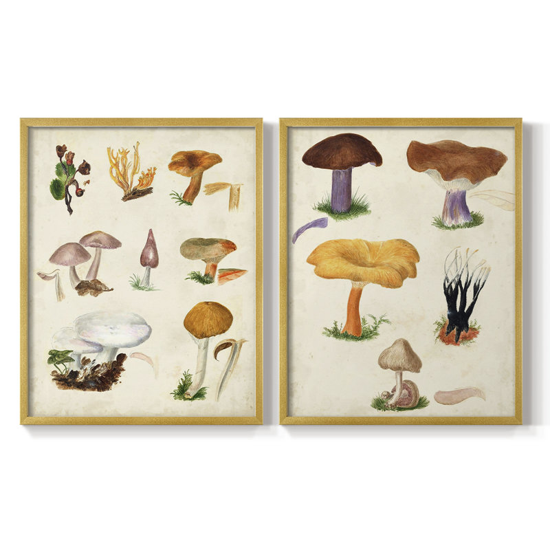 Champignon VI - reproduction encadrée de qualité supérieure - prêt à être accroché - aucun clou requis - aucun clou requis