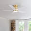 107Cm 5-Blade Modern Ceiling Fan Light With 6-Speed Adjustable Wind Speed-496295895-496295890