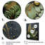 Ysabell Ferns Plant Timeless Elegance III sur toile-1503565660-1503565657