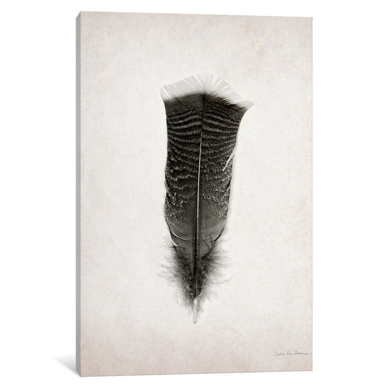 Impression sur toile tendue plumes iii, H 18 po x l 12 po x P 1,5 po