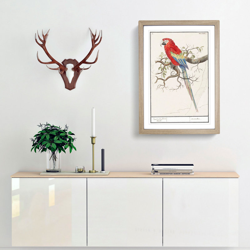 Scarlet Macaw Parrot by A.B. de Boodt - Picture Frame Painting Print, 65cm H x 48cm W x 2cm D, Oak Framed
