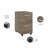 Kaneki 16'' Wide 2 -Drawer Mobile File Cabinet-63438925