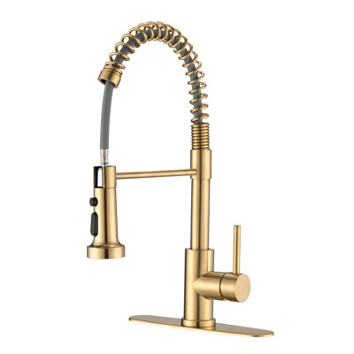 Pull Down Single Handle Kitchen Faucet with Accessories