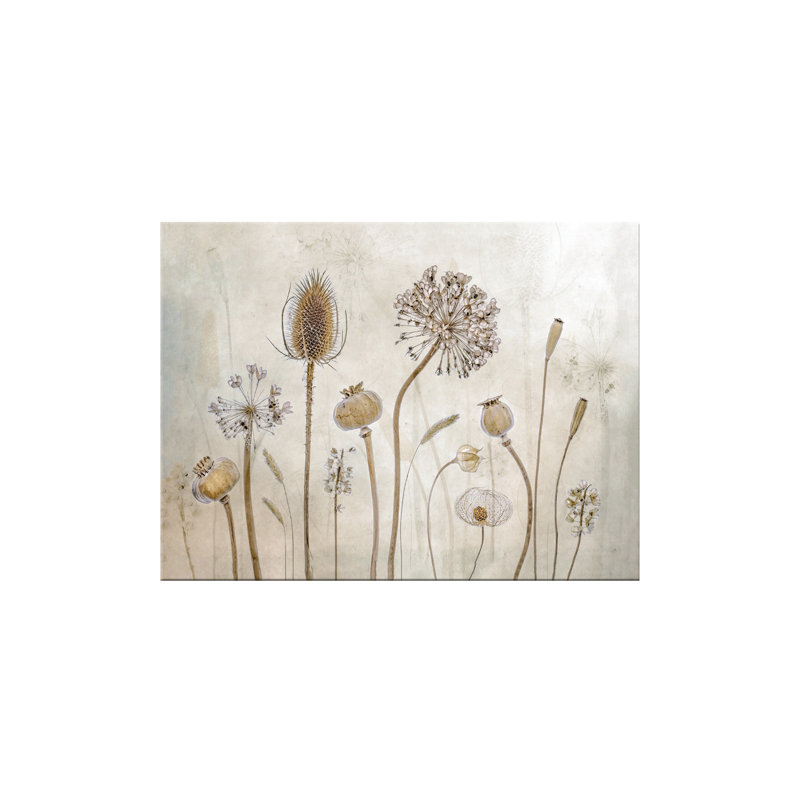 " Growing Old " by Mandy Disher, 10" H x 14" W, Framed Print with Mat, Natural