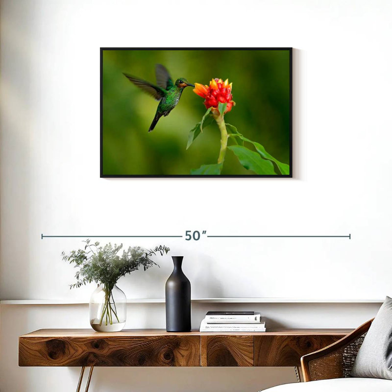 Fleur et colibri vert, Cadre flottant noir, 31 po x 21 po