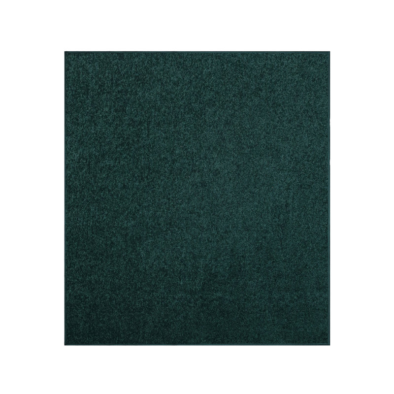 Modern Plush Pet and Kids Friendly Solid Color Area Rugs, Stain & Fade Resistance, Bedroom, Playroom and Kidsroom, Event, Wedding, Perfect for Living Room, Dining Room, Forest Green Rug