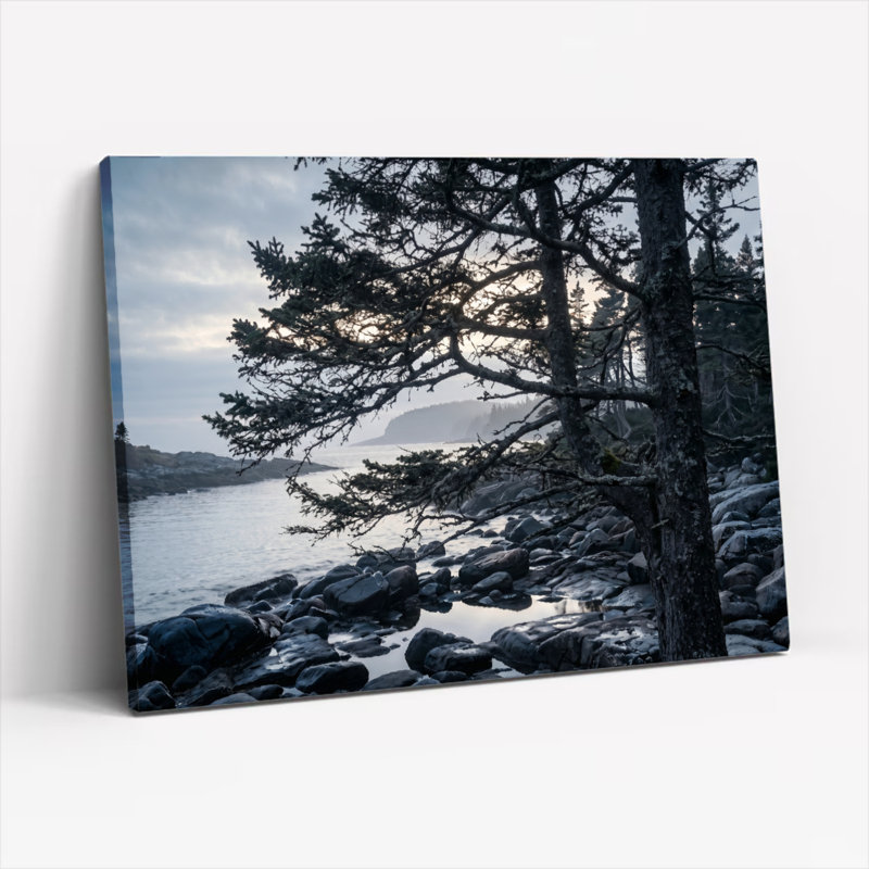«Coastal Forest», reproduction d'art sur toile, ensemble de 1, H 20 po x l 30 po, Toile tendue