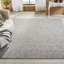 Izack Hand Loomed Area Rug in Gray-1721014965