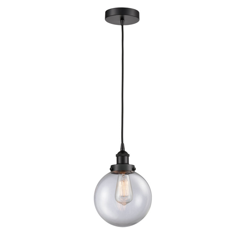 Luminaire suspendu simple à 1 lumière Frederick, H 11,5 po x l 8 po x P 8 po, Transparent, Noir mat