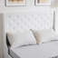 Platform Storage Bed Frame-975826620-975826595
