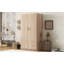 Armoire décorative-101440693