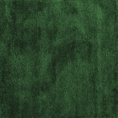 Performance Indoor Rug