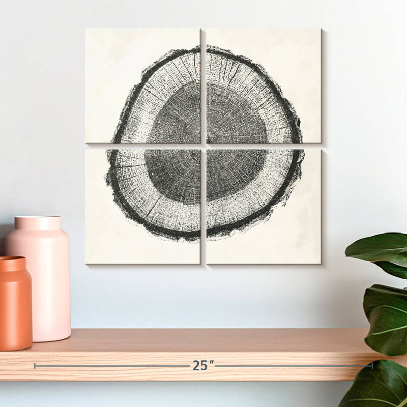 Tree Ring II, 18" H x 18" W