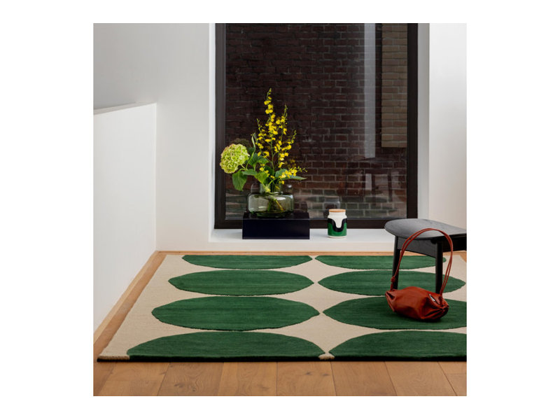 Hand Tufted Geometric Area Rug in Green