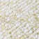 Majeste 0.8" x 0.8" Glass Penny round Mosaic Wall & Floor Tile