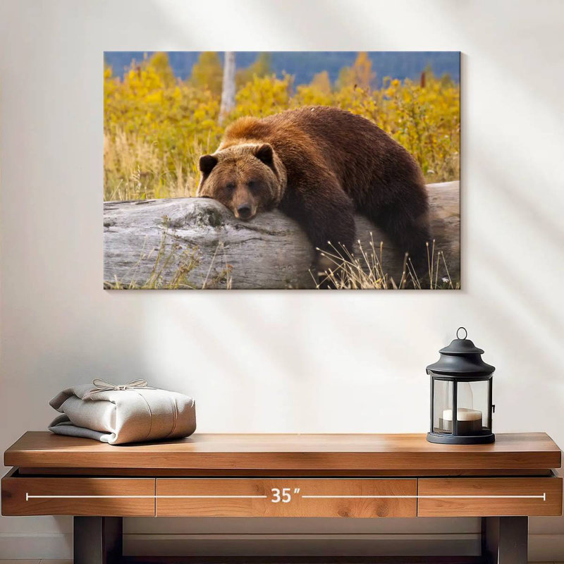 Brampt Resting Grizzly Bear