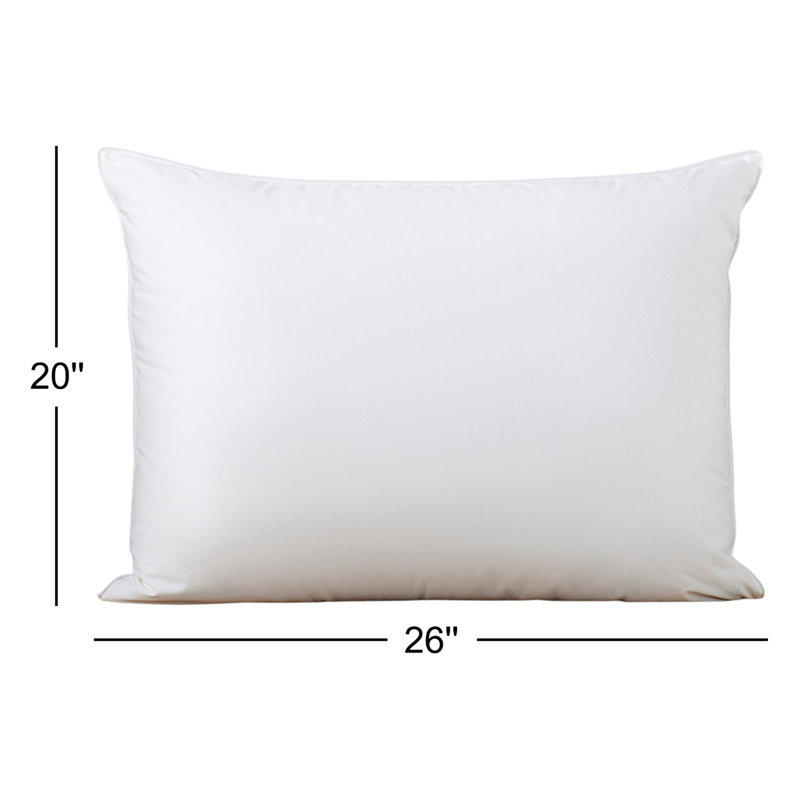 Terron Down Firm Pillow, Standard