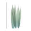 «Radiant Bamboo Leaf 1», toile tendue par Albert Koetsier-783315598