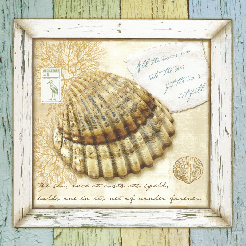 Sea Treasures V - Wrapped Canvas Print, 30cm H x 30cm W x 3.8cm D
