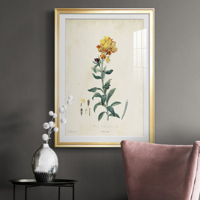 " Traditional Botanical III "