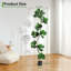 Plant-1399639119